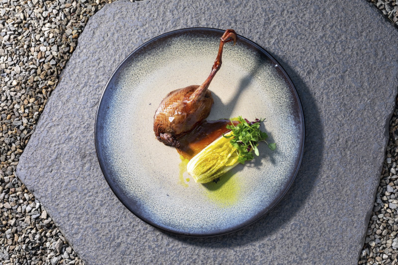 Logy – Taiwan