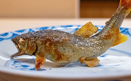 国内外での研鑽が育んだ、正統と革新の日本料理