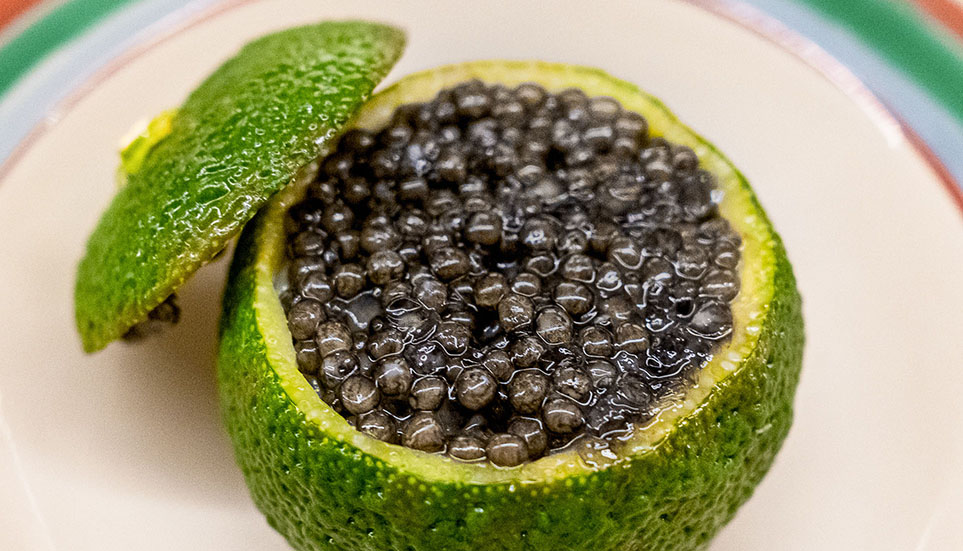 05|日本料理 久丹日本料理(新富)